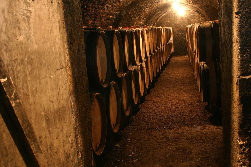 Maison D'Hotes Chandon De Briailles Savigny-lès-Beaune Εξωτερικό φωτογραφία